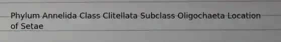 Phylum Annelida Class Clitellata Subclass Oligochaeta Location of Setae