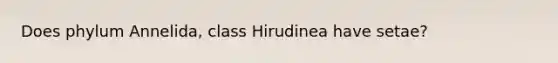 Does phylum Annelida, class Hirudinea have setae?