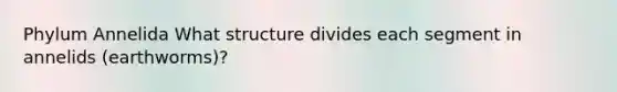 Phylum Annelida What structure divides each segment in annelids (earthworms)?