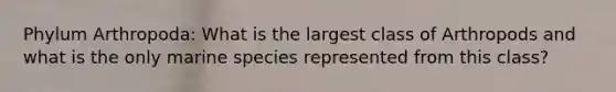 Phylum Arthropoda: What is the largest class of Arthropods and what is the only marine species represented from this class?