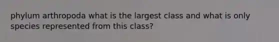 phylum arthropoda what is the largest class and what is only species represented from this class?