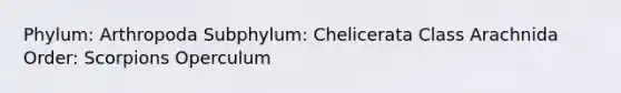 Phylum: Arthropoda Subphylum: Chelicerata Class Arachnida Order: Scorpions Operculum