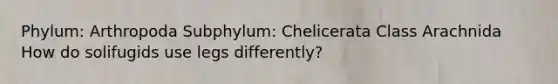 Phylum: Arthropoda Subphylum: Chelicerata Class Arachnida How do solifugids use legs differently?