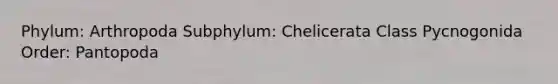 Phylum: Arthropoda Subphylum: Chelicerata Class Pycnogonida Order: Pantopoda