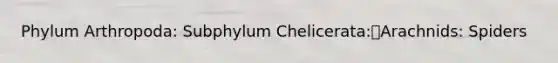 Phylum Arthropoda: Subphylum Chelicerata:Arachnids: Spiders