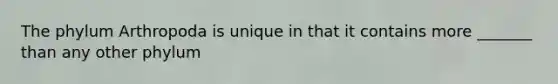 The phylum Arthropoda is unique in that it contains more _______ than any other phylum