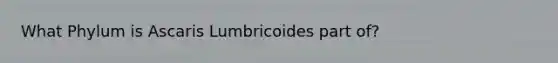 What Phylum is Ascaris Lumbricoides part of?