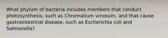 What phylum of bacteria includes members that conduct photosynthesis, such as Chromatium vinosum, and that cause gastrointestinal disease, such as Escherichia coli and Salmonella?