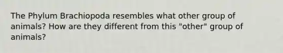 The Phylum Brachiopoda resembles what other group of animals? How are they different from this "other" group of animals?