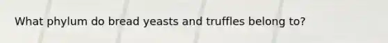 What phylum do bread yeasts and truffles belong to?