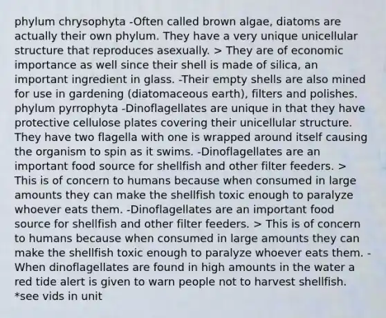 phylum chrysophyta -Often called brown algae, diatoms are actually their own phylum. They have a very unique unicellular structure that reproduces asexually. > They are of economic importance as well since their shell is made of silica, an important ingredient in glass. -Their empty shells are also mined for use in gardening (diatomaceous earth), filters and polishes. phylum pyrrophyta -Dinoflagellates are unique in that they have protective cellulose plates covering their unicellular structure. They have two flagella with one is wrapped around itself causing the organism to spin as it swims. -Dinoflagellates are an important food source for shellfish and other filter feeders. > This is of concern to humans because when consumed in large amounts they can make the shellfish toxic enough to paralyze whoever eats them. -Dinoflagellates are an important food source for shellfish and other filter feeders. > This is of concern to humans because when consumed in large amounts they can make the shellfish toxic enough to paralyze whoever eats them. -When dinoflagellates are found in high amounts in the water a red tide alert is given to warn people not to harvest shellfish. *see vids in unit