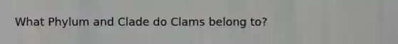 What Phylum and Clade do Clams belong to?