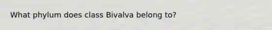 What phylum does class Bivalva belong to?