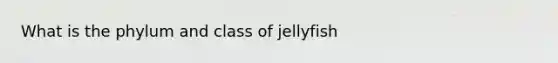 What is the phylum and class of jellyfish