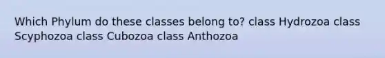 Which Phylum do these classes belong to? class Hydrozoa class Scyphozoa class Cubozoa class Anthozoa