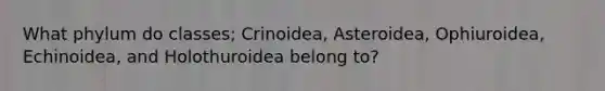 What phylum do classes; Crinoidea, Asteroidea, Ophiuroidea, Echinoidea, and Holothuroidea belong to?