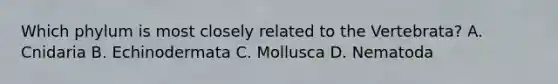 Which phylum is most closely related to the Vertebrata? A. Cnidaria B. Echinodermata C. Mollusca D. Nematoda