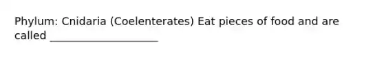 Phylum: Cnidaria (Coelenterates) Eat pieces of food and are called ____________________