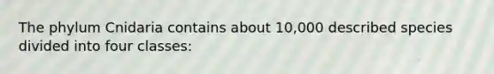 The phylum Cnidaria contains about 10,000 described species divided into four classes: