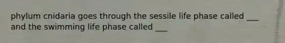 phylum cnidaria goes through the sessile life phase called ___ and the swimming life phase called ___