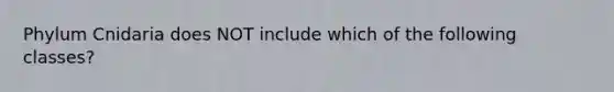 Phylum Cnidaria does NOT include which of the following classes?