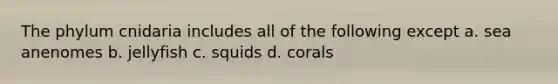 The phylum cnidaria includes all of the following except a. sea anenomes b. jellyfish c. squids d. corals