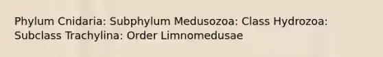 Phylum Cnidaria: Subphylum Medusozoa: Class Hydrozoa: Subclass Trachylina: Order Limnomedusae