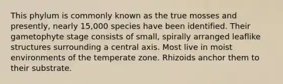 This phylum is commonly known as the true mosses and presently, nearly 15,000 species have been identified. Their gametophyte stage consists of small, spirally arranged leaflike structures surrounding a central axis. Most live in moist environments of the temperate zone. Rhizoids anchor them to their substrate.