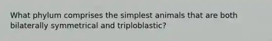 What phylum comprises the simplest animals that are both bilaterally symmetrical and triploblastic?