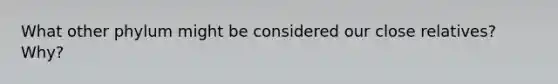What other phylum might be considered our close relatives? Why?