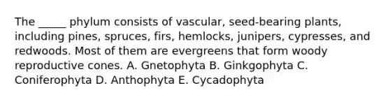 The _____ phylum consists of vascular, seed-bearing plants, including pines, spruces, firs, hemlocks, junipers, cypresses, and redwoods. Most of them are evergreens that form woody reproductive cones. A. Gnetophyta B. Ginkgophyta C. Coniferophyta D. Anthophyta E. Cycadophyta