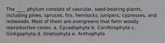 The ____ phylum consists of vascular, seed-bearing plants, including pines, spruces, firs, hemlocks, junipers, cypresses, and redwoods. Most of them are evergreens that form woody reproductive cones. a. Cycadophyta b. Coniferophyta c. Ginkgophyta d. Gnetophyta e. Anthophyta