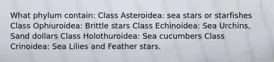 What phylum contain: Class Asteroidea: sea stars or starfishes Class Ophiuroidea: Brittle stars Class Echinoidea: Sea Urchins, Sand dollars Class Holothuroidea: Sea cucumbers Class Crinoidea: Sea Lilies and Feather stars.