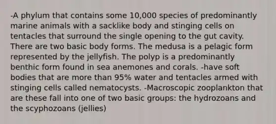 -A phylum that contains some 10,000 species of predominantly marine animals with a sacklike body and stinging cells on tentacles that surround the single opening to the gut cavity. There are two basic body forms. The medusa is a pelagic form represented by the jellyfish. The polyp is a predominantly benthic form found in sea anemones and corals. -have soft bodies that are more than 95% water and tentacles armed with stinging cells called nematocysts. -Macroscopic zooplankton that are these fall into one of two basic groups: the hydrozoans and the scyphozoans (jellies)