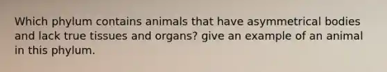 Which phylum contains animals that have asymmetrical bodies and lack true tissues and organs? give an example of an animal in this phylum.