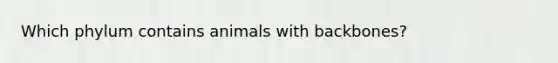 Which phylum contains animals with backbones?