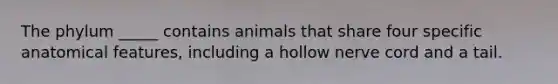 The phylum _____ contains animals that share four specific anatomical features, including a hollow nerve cord and a tail.