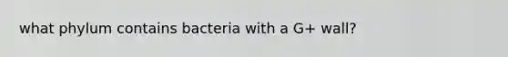 what phylum contains bacteria with a G+ wall?