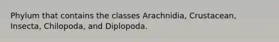 Phylum that contains the classes Arachnidia, Crustacean, Insecta, Chilopoda, and Diplopoda.