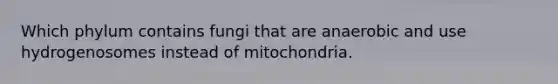 Which phylum contains fungi that are anaerobic and use hydrogenosomes instead of mitochondria.