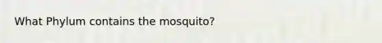 What Phylum contains the mosquito?