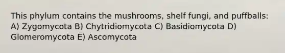 This phylum contains the mushrooms, shelf fungi, and puffballs: A) Zygomycota B) Chytridiomycota C) Basidiomycota D) Glomeromycota E) Ascomycota