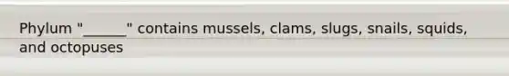 Phylum "______" contains mussels, clams, slugs, snails, squids, and octopuses