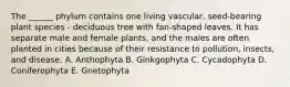 The ______ phylum contains one living vascular, seed-bearing plant species - deciduous tree with fan-shaped leaves. It has separate male and female plants, and the males are often planted in cities because of their resistance to pollution, insects, and disease. A. Anthophyta B. Ginkgophyta C. Cycadophyta D. Coniferophyta E. Gnetophyta