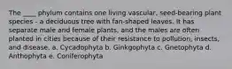 The ____ phylum contains one living vascular, seed-bearing plant species - a deciduous tree with fan-shaped leaves. It has separate male and female plants, and the males are often planted in cities because of their resistance to pollution, insects, and disease. a. Cycadophyta b. Ginkgophyta c. Gnetophyta d. Anthophyta e. Coniferophyta