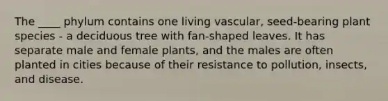 The ____ phylum contains one living vascular, seed-bearing plant species - a deciduous tree with fan-shaped leaves. It has separate male and female plants, and the males are often planted in cities because of their resistance to pollution, insects, and disease.