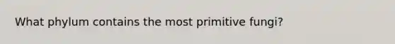 What phylum contains the most primitive fungi?