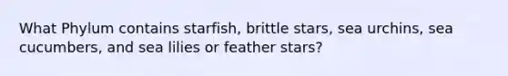 What Phylum contains starfish, brittle stars, sea urchins, sea cucumbers, and sea lilies or feather stars?