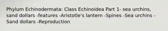 Phylum Echinodermata: Class Echinoidea Part 1- sea urchins, sand dollars -features -Aristotle's lantern -Spines -Sea urchins -Sand dollars -Reproduction