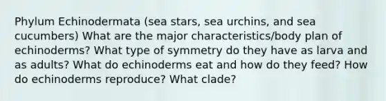 Phylum Echinodermata (sea stars, sea urchins, and sea cucumbers) What are the major characteristics/body plan of echinoderms? What type of symmetry do they have as larva and as adults? What do echinoderms eat and how do they feed? How do echinoderms reproduce? What clade?